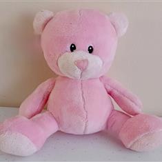 Baby Girl Bear
